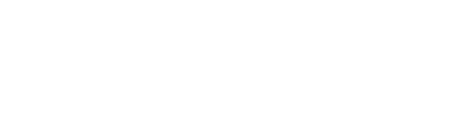 SoftwarePro Logo